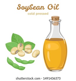 Soybean oil in glass bottle isolated on white background. Vector illustration of soybeans, green pods and leaves in cartoon simple flat style. Healthy food.