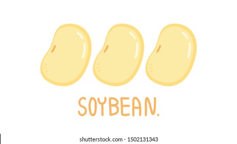  Soybean on white background. free space for text. 