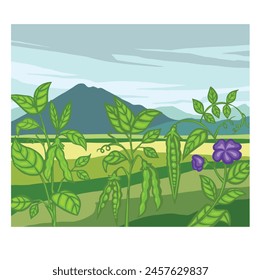 Soja, campo de guisantes, paisaje. Ilustración vectorial de dibujos animados.