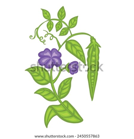 Soybean or pea sprout, bean with leaves and pods cartoon style vector illustration.