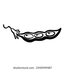 soybean plant pod, pea sketch line vector illustration