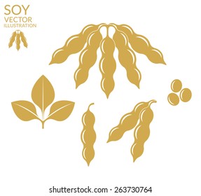 Soybean plant vintage style. Soy bean icon set. Isolated soybeans on white background