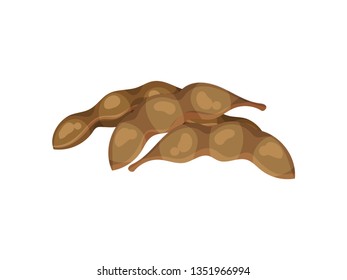 Soybean pod on white background. Vector flat illustration.