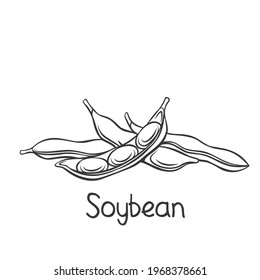 Soybean pods, edamame beans monochrome outline vector illustration for ad soy product.