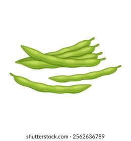 Soybean pods, edamame beans vector illustration for ad soy product.