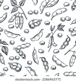 Soybean seamless pattern. Hand drawn sketch vector illustration of soya beens, pod on green plant and seeds . Food vegetarian organic products. Fabric design, wrapping paper, textile print