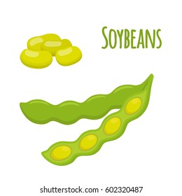 Soybean set. Beans, capsule of soya. Vegetarian healthy food. Organic product. Flat vector style.