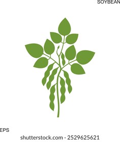 Soybean silhouette. Isolated soybean on white background