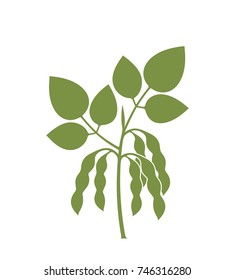 Soybean silhouette. Isolated soybean on white background