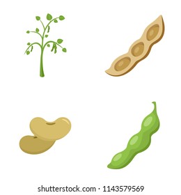 Soybean soy beans seed icons set. Flat illustration of 4 soybean soy beans seed vector icons isolated on white