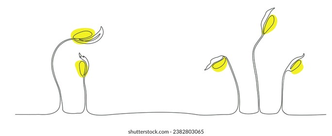 Soybean sprouts vector stock illustration. Isolated on a white background. Micro green.