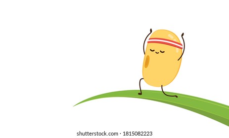 Soybean vector. Soybean character design.