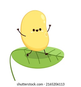 Soybean vector. Soybean character design.
