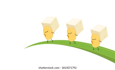 Soybean vector. Soybean character design. Soybean and tofu vector.