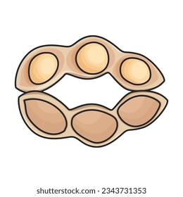 Soybean vector icon.Color vector icon isolated on white background soybean.
