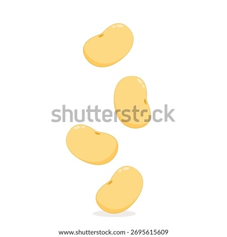 Soybean vector. soybean on white background, Closeup soybeans.