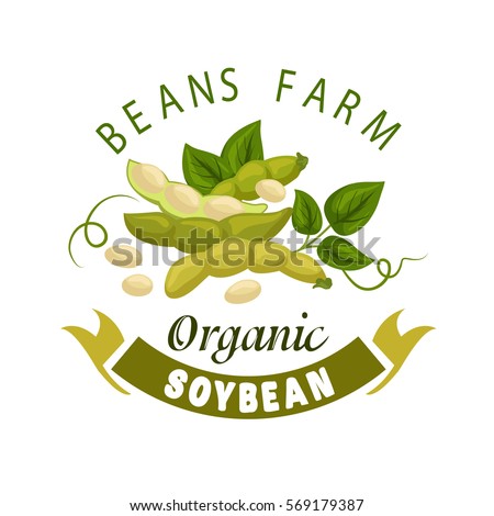 soybean-vector-poster-organic-farm-450w-569179387.jpg