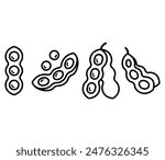 soybean vegetable icon symbol vector design black white color simple line illustration collections sets