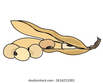 Soybeans are in a continuous line drawing on a white background.