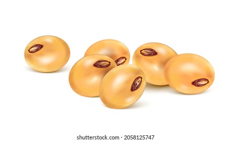 Soybeans set element isolated on white background. Realistic vector in 3D elements.