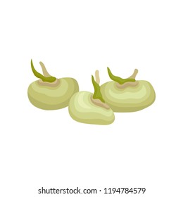 Soybeans with sprouts, healthy vegetarian food vector Illustration on a white background
