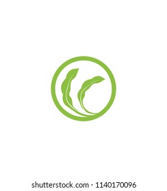 Soybeans vector icon Isolated abstract green color beans round logo. Nature element logotype. Agricultural organic product sign. Harvesting vector illustration