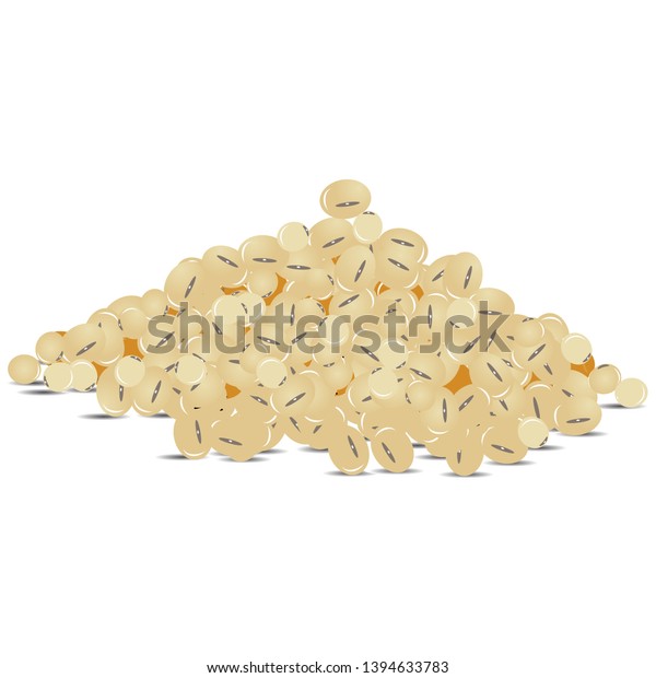 Soybeans Vector Illustration Bodybuilding Supplement Concept เวกเตอร์
