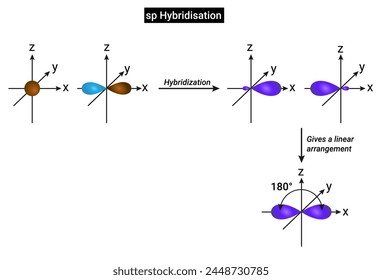 sp Hybridisation: One s and one p orbital of an atom are mixed to give two new hybrid orbitals which are equivalent in shape and energy known as sp hybrid orbitals.