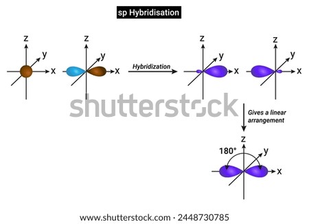 sp Hybridisation: One s and one p orbital of an atom are mixed to give two new hybrid orbitals which are equivalent in shape and energy known as sp hybrid orbitals.