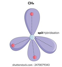 Sp3 Hybridization Illustrated Molecular Structure on White Background