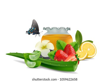 Spa Aloe Vera lemon strawberry and honey isolated on white background, vector and illustration.