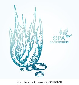 Spa background with aloe. hand drawn