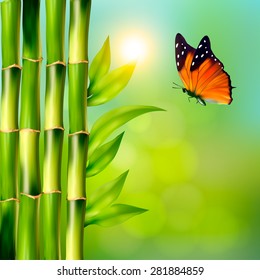 Spa background with bamboo and butterfly.Vector