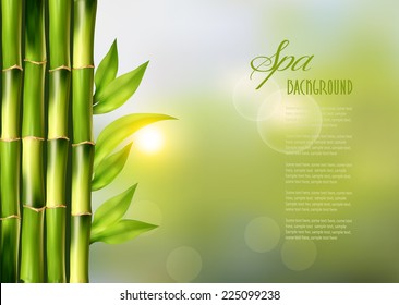 Spa background with bamboo.Vector 