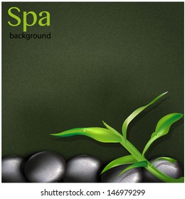 spa  background best for your design