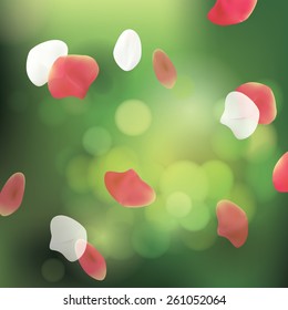 Spa Background with Petals 