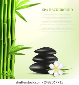 Spa background with stones. Vector illustration