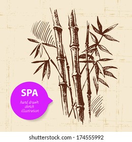 Spa background. Vintage hand drawn sketch illustration