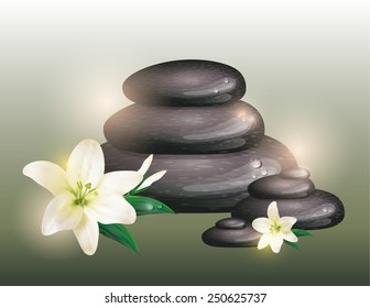 Spa background with white flowers and stones. Vector eps10.