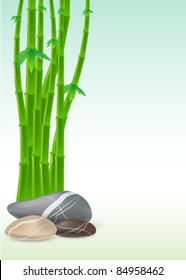 Spa Bamboo background