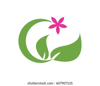 Spa And Beauty 