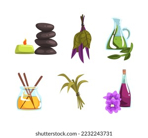 Spa, beauty and care objects set. Aromatic reed diffuser, pebble stones, oil vector illustration