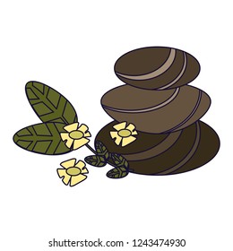 SPA beauty and health concept
