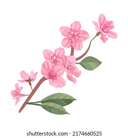 Spa cartoon vector illustration. Branch with sakura flowers, aroma therapy, facial and body massage and tools
