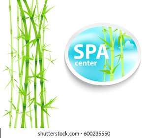 Spa center stickers and labels with text