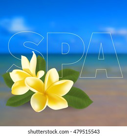 Spa concept with blurred seaside background and realistic vector frangipani