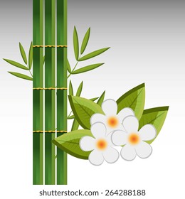 Spa design over white background, vector illustration.