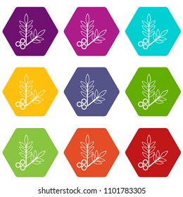 Spa eco leafs icons 9 set coloful isolated on white for web