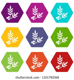 Spa eco leafs icons 9 set coloful isolated on white for web
