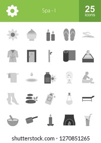 Spa Flat Greyscale icons
